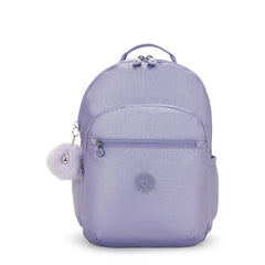 Must-Have Metallic School Set