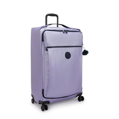 Darcey Large Metallic Rolling Luggage